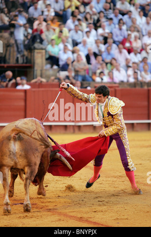 Spanish matador Luis Vilches at the Real Maestranza bullring, Seville, Spain Stock Photo