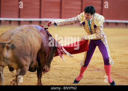 Spanish matador Luis Vilches at the Real Maestranza bullring, Seville, Spain Stock Photo