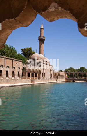 Pool of Abraham or Balikli Gol  and Halil ur Rahman Mosque in Sanliurfa or Urfa, Turkey Stock Photo
