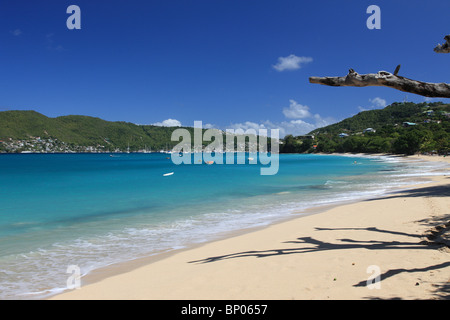 Tropical beach on Bequia Island, St. Vincent in the Caribbean Stock Photo