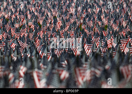 Field of American flags on Boston Common to honor war dead , Boston, Massachusetts Stock Photo