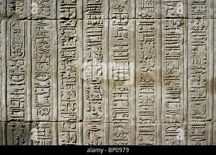 Hieroglyphs on a wall at Kom Ombo temple near Aswan in Upper Egypt. Stock Photo