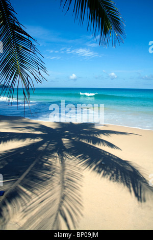 Palm tree shadow on tropical beach, Surin beach, Phuket, Thailand Stock Photo