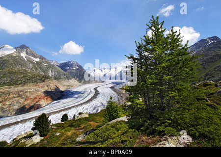 The great Aletsch glacier Stock Photo