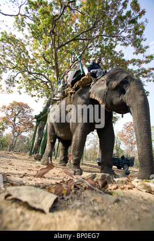 India, Madhya Pradesh, Satpura National Park. Young family on an elephant-back safari. Stock Photo