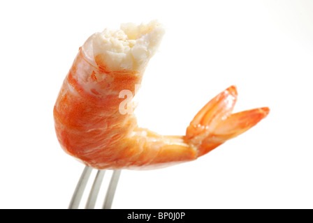 The Red Shrimps on the fork Stock Photo