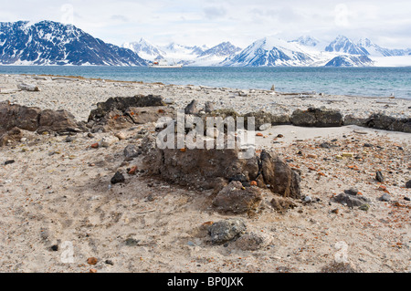 Old whaling station Amsterdamoya (Amsterdam island) Svalbard Archipelago, Norway. Stock Photo