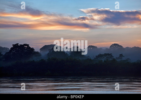 Peru, Amazon River Basin, Madre de Dios province, Close-up of black ...