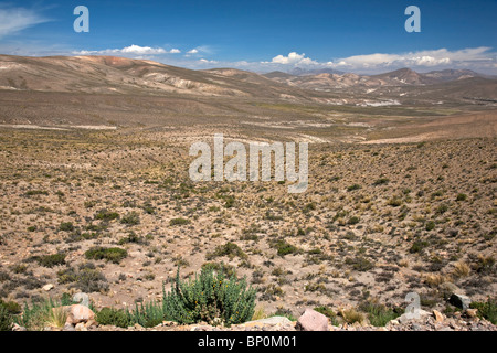 Peru, The bleak altiplano of the high Andes between Arequipa and the Colca Canyon. Stock Photo