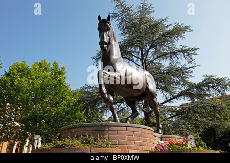 The Leonardo Da Vinci horse sculpture Vinci Tuscany Italy Stock Photo