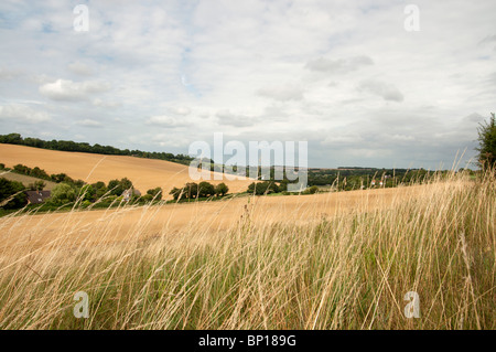 valley north downs way elham valley kent england UK Stock Photo - Alamy