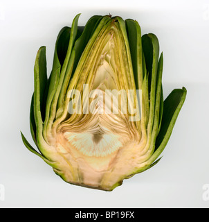 Globe artichoke cut in half on white background Stock Photo