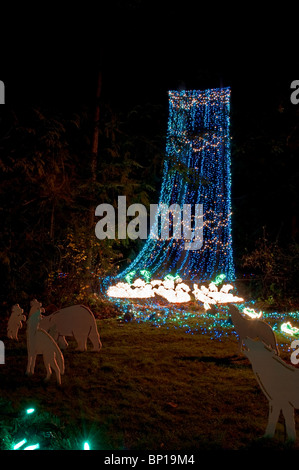 Cascade of blue and green Christmas lights to represent a waterfall, with animal statues of wolves howling in the foreground. Stock Photo