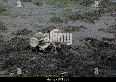 Abandoned Tricycle in a River at Lowtide Stock Photo