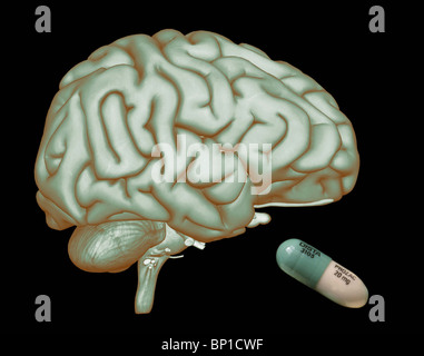 prozac (fluoxetine) pills 20 mg capsules and the brain Stock Photo