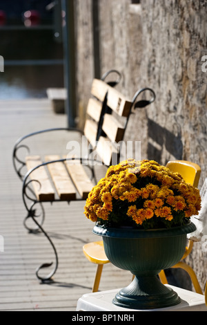 An urn full of bright yellow marigold flowers, in front of an empty bench. Stock Photo