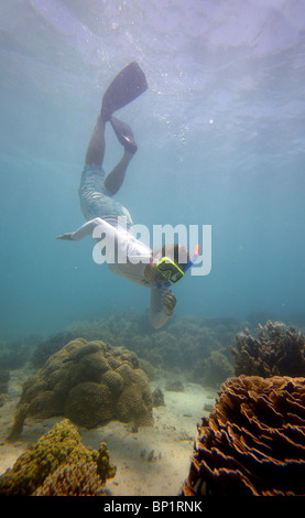 Snorkeling on a coral reef, Coral Bay, Australia Stock Photo