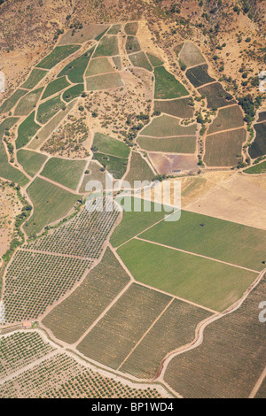 Vineyards and Orchards near Santiago, Chile, South America - aerial Stock Photo