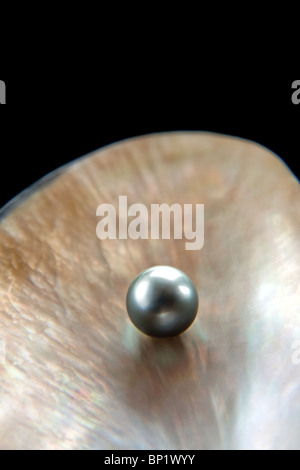 Lustrous grey pearl Stock Photo