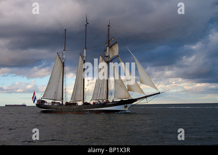 Class A Tall ships at the Hartlepool Festival Race 2010, North Yorkshire, UK Stock Photo