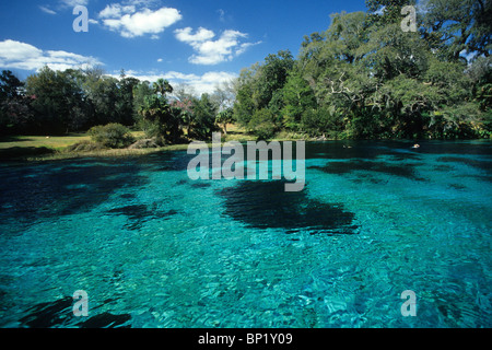 Impressions of Rainbow River, Rainbow River, Florida, USA Stock Photo