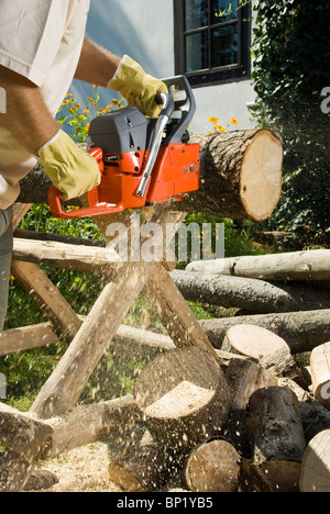 Logger cutting wood with chainsaw to make firewood Stock Photo - Alamy