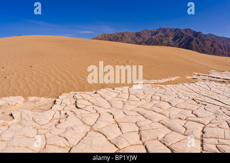 Cracked playa at Mesquite Flat Sand Dunes, Death Valley National Park. California Stock Photo