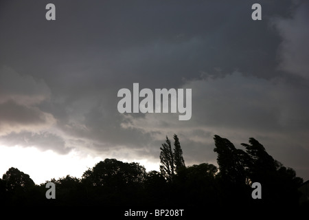 Dark clouds over weeping trees in a storm Stock Photo - Alamy