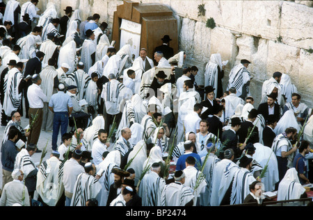 425. PRAYING AT THE WESTERN WALL WITH THE FOUR SPECIES DURING THE FEAST OF SUKKOT (TABERNACLE) Stock Photo