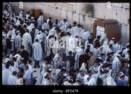 425. PRAYING AT THE WESTERN WALL WITH THE FOUR SPECIES DURING THE FEAST OF SUKKOT (TABERNACLE) Stock Photo