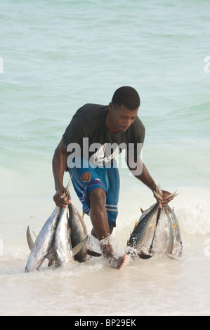 A fisherman bringing fish out of the sea to auction on Nungwi beach, Zanzibar, Tanzania, East Africa Stock Photo