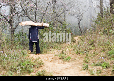 a black hmong man carries a log up a trail in vietnam Stock Photo