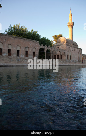 Pool of Abraham in Sanliurfa or Urfa, Turkey Stock Photo