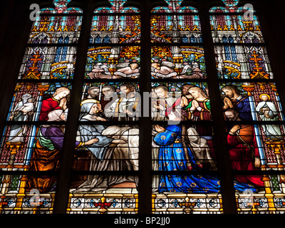 Stained glass windows from famous historic St. Janskathedraal in Den Bosch or s-Hertogenbosch The Netherlands Stock Photo