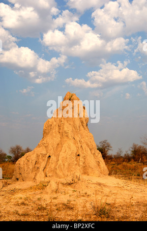 Termite mound under cumulus clouds, Okavango Delta, Botswana Stock Photo