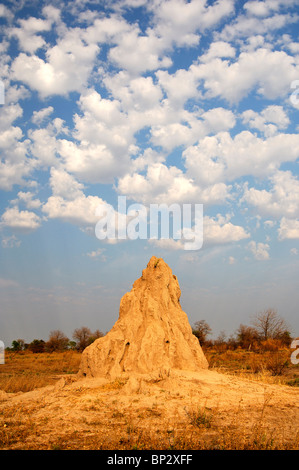 Termite mound under cumulus clouds, Okavango Delta, Botswana Stock Photo