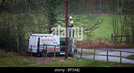 A British Telelcom engineer works up a telegraph pole in the Sussex countyside. Picture by James Boardman. Stock Photo