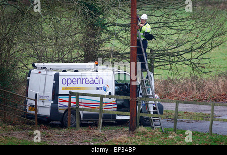 A British Telelcom engineer works up a telegraph pole in the Sussex countyside. Picture by James Boardman. Stock Photo