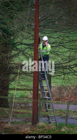 A British Telelcom engineer works up a telegraph pole in the Sussex countyside. Picture by James Boardman. Stock Photo