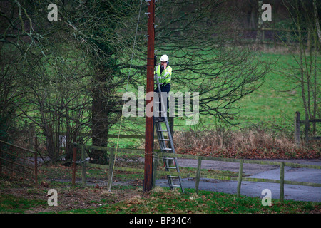 A British Telelcom engineer works up a telegraph pole in the Sussex countyside. Picture by James Boardman. Stock Photo