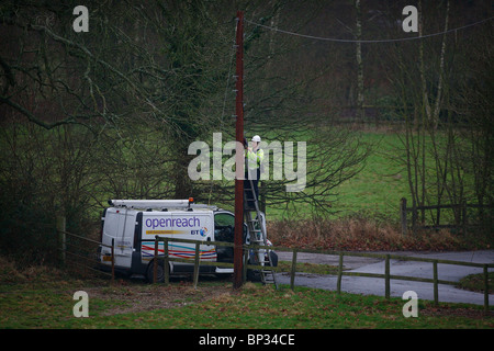 A British Telelcom engineer works up a telegraph pole in the Sussex countyside. Picture by James Boardman. Stock Photo