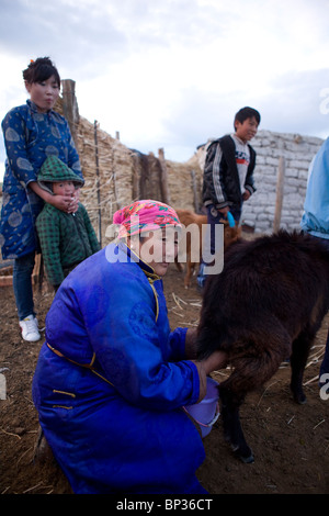 Mongolian nomadic family, Mongolia Stock Photo - Alamy