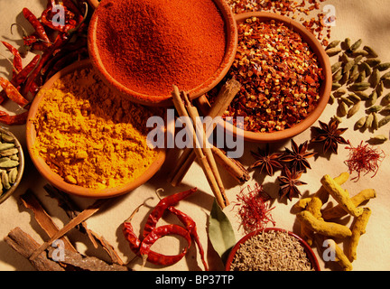 DRIED SPICES Stock Photo