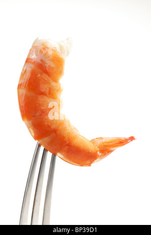 The Red Shrimp on the fork Stock Photo