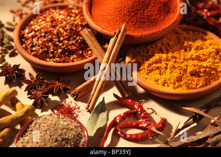 ASIAN SPICES Stock Photo