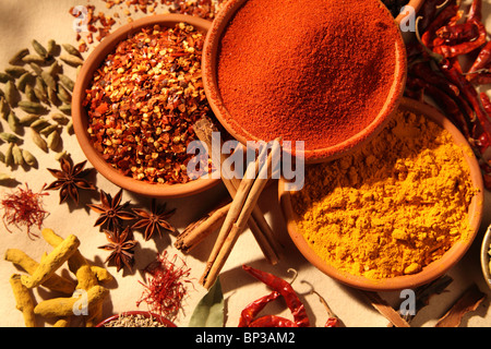 DRIED SPICES Stock Photo