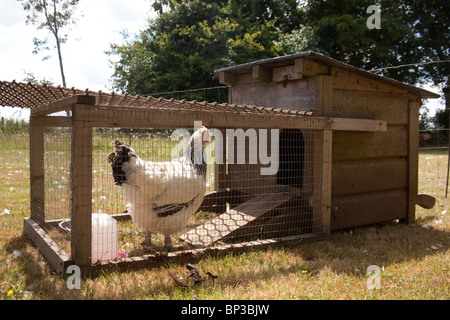 Chicken hutch or run , Hampshire, England. Stock Photo