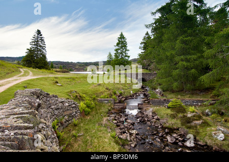 Path and bridge at the end of the Loch Ordie walk with loch Ordie in the background taken summer Stock Photo