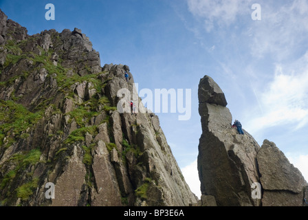 Climbers on Napes Needle as viewed from the Dress Circle, Great Gable, Lake District, Cumbria Stock Photo