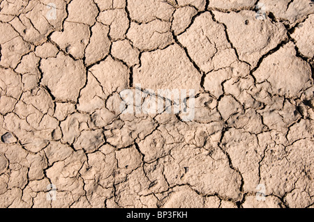 Cracked mud Stock Photo